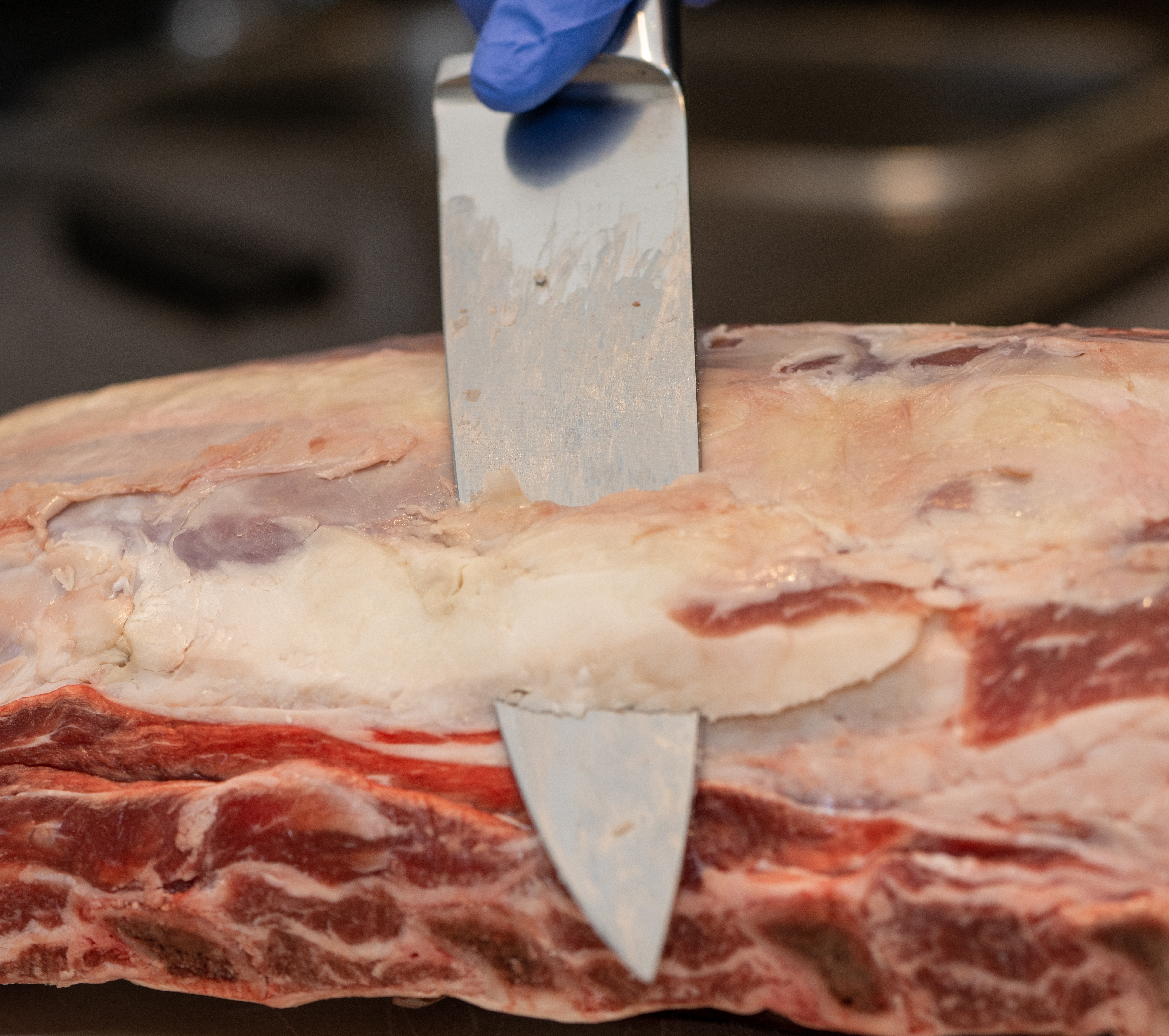 Energy Income Partners, LLC - Knife fat image e1783996124285